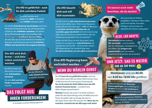 Flyer LTW Sachsen-Anhalt 2026 (25 Stück)